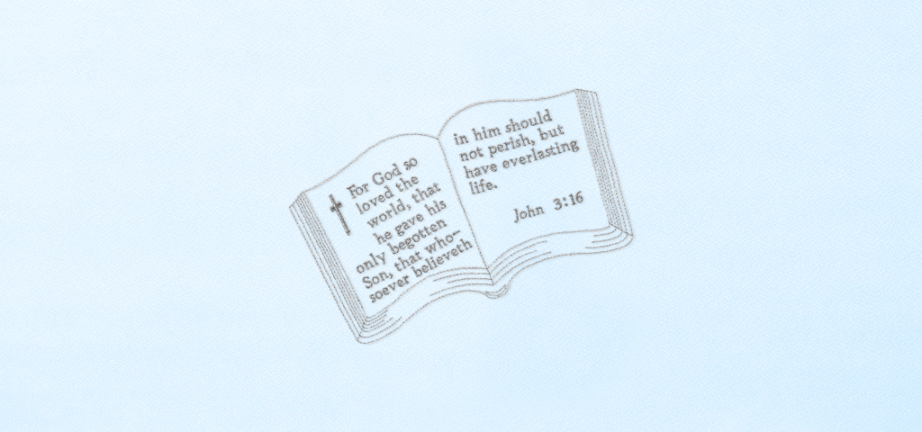 Bible John 3-16 Silver Blue Faux